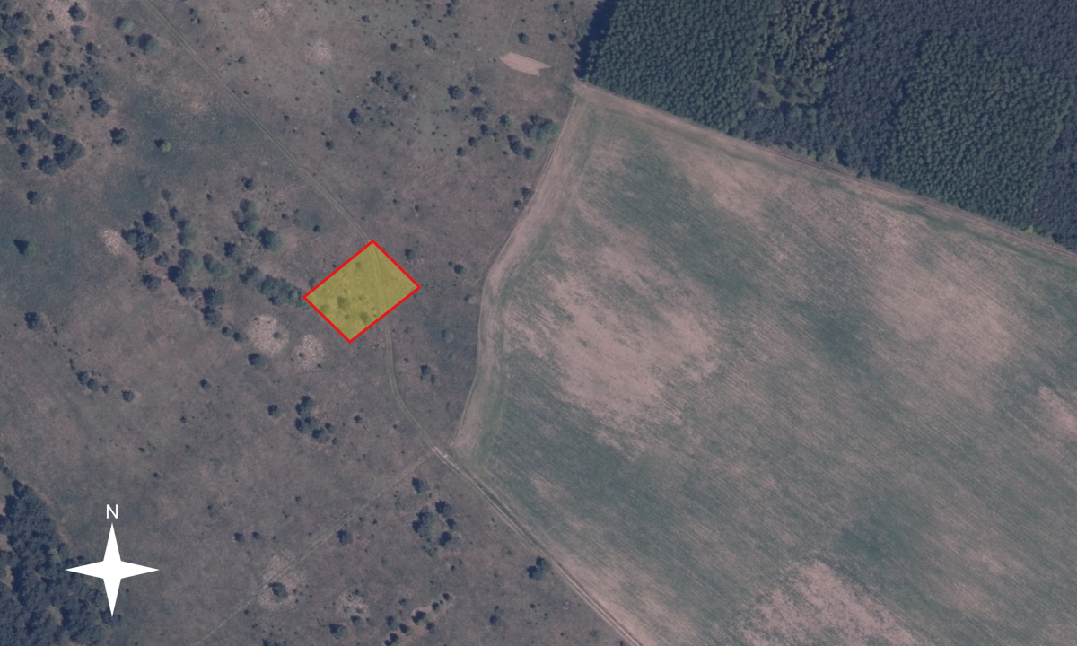 11_Domaradz 198 259 3