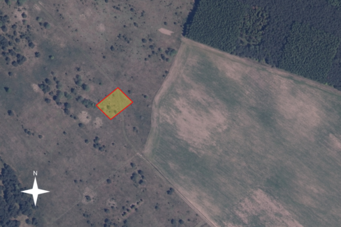 11_Domaradz 198 259 3