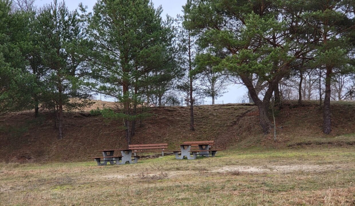 31_1_20220116_122251